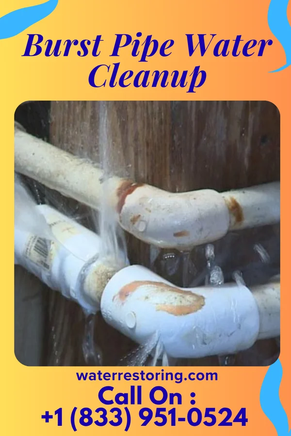 Burst Pipe Water Cleanup in Wauconda, IL