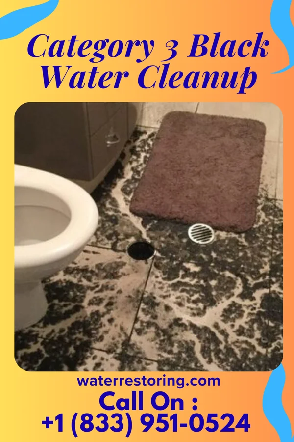 Category 3 Black Water Cleanup in Wauconda, IL