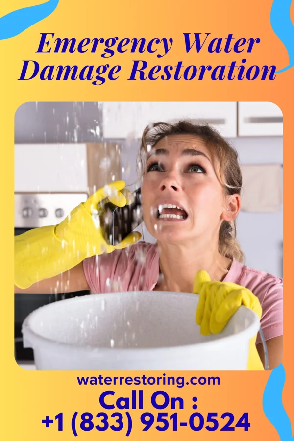 Emergency Water Damage Restoration in Wauconda, IL