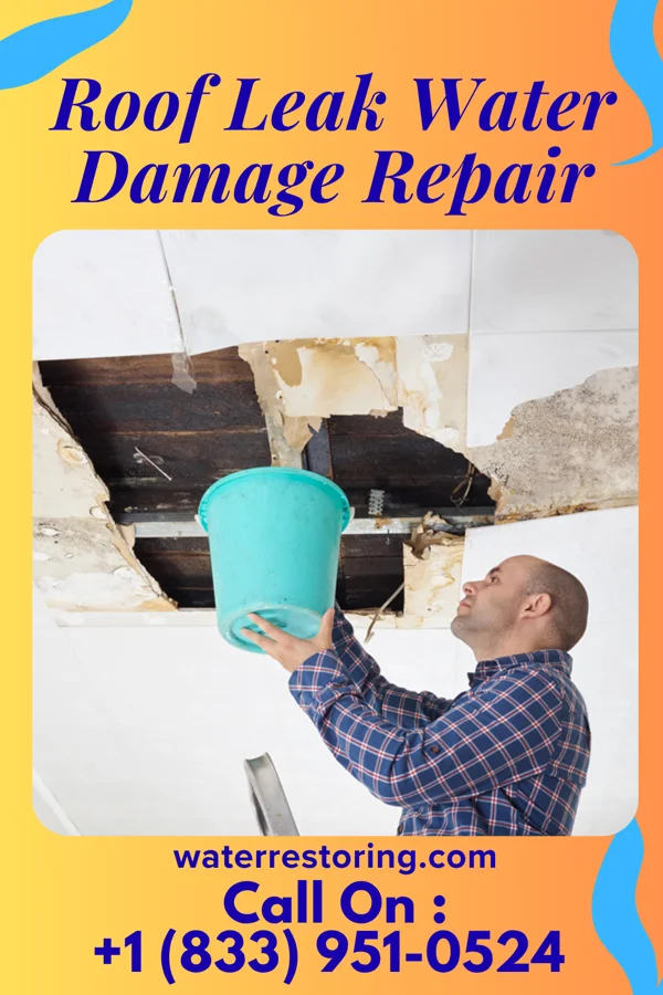 Roof Leak Water Damage Repair in Wauconda, IL
