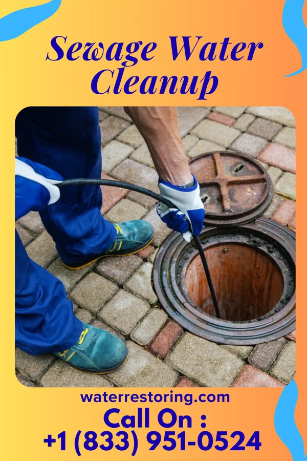 Sewage Water Cleanup in Wauconda, IL